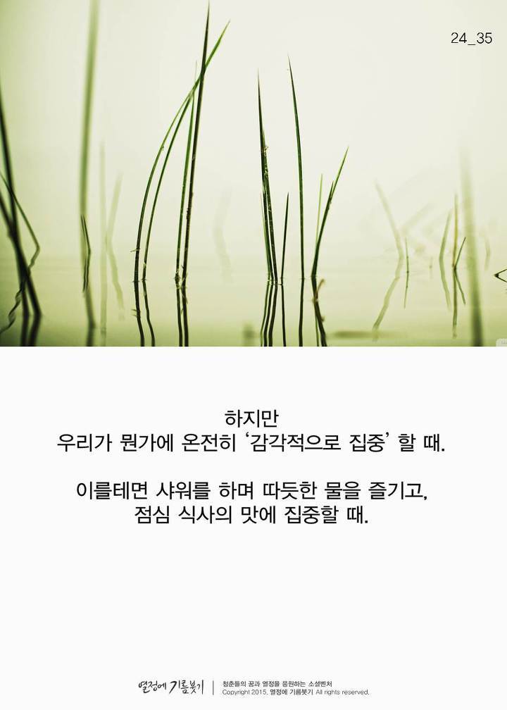 샤워와 성공의 연관관계 | 인스티즈
