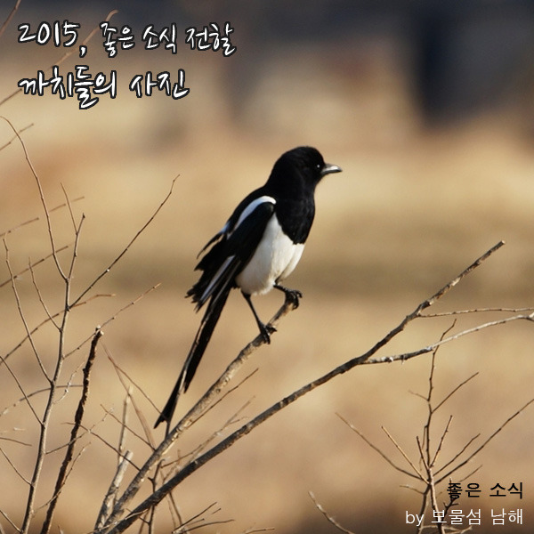 좋은소식 이미지