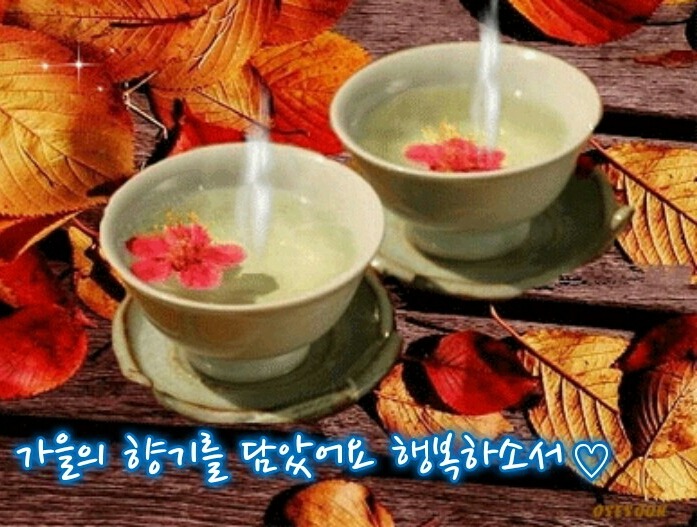 좋은날 이미지