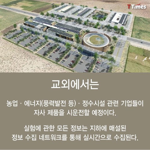 실험을 위해 만들어지는 가짜도시 | 인스티즈