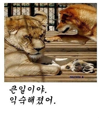 커서 보자2.jpg | 인스티즈