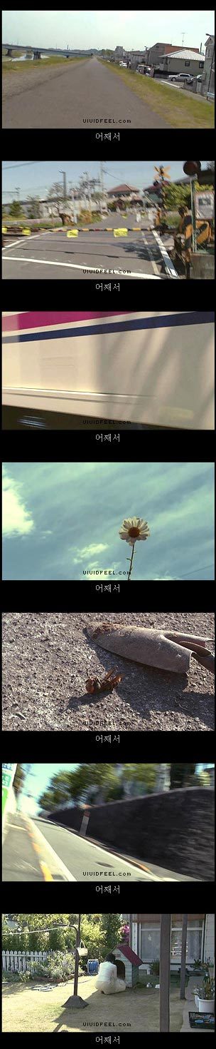 10번보면 10번 다 폭풍오열하는 이야기 [마리모이야기] | 인스티즈