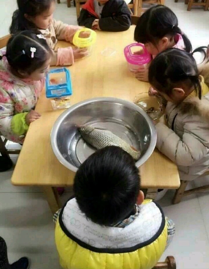 ??? : 아빠 유치원에서 관찰할 물고기 가져오래 | 인스티즈
