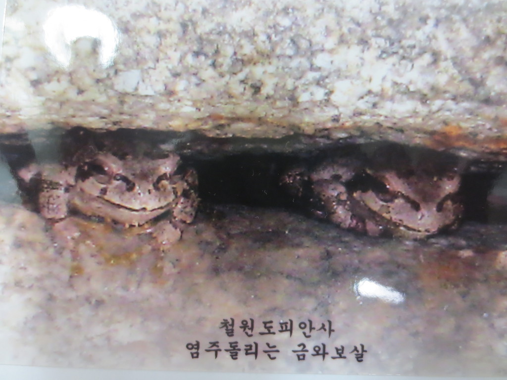 도피안사 이미지