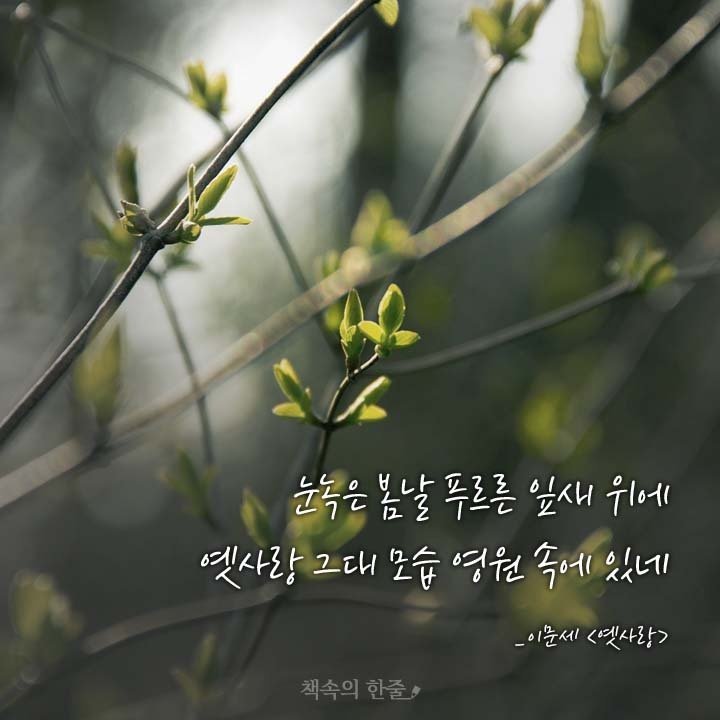 옛사랑 이미지