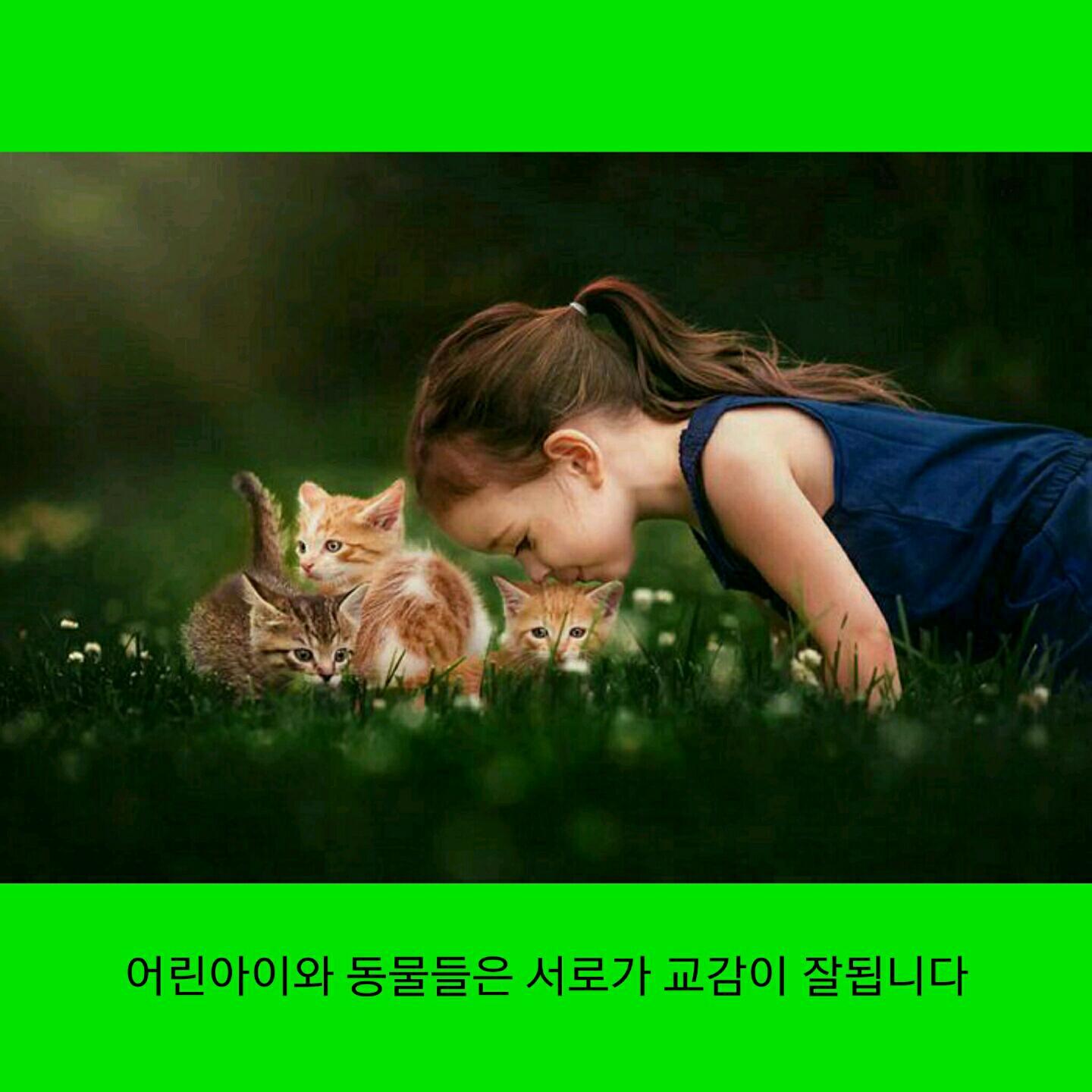 동심 이미지