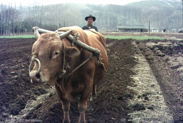 1969년 한국의 일상.jpg | 인스티즈