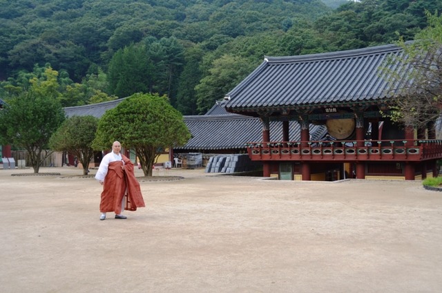 대부사 이미지