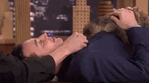 동물덕후들이 해외토크쇼를 부러워하는 이유 | 인스티즈