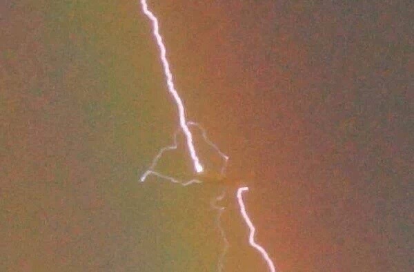 몇억분의 1의 확률로 찍힌 사진 | 인스티즈