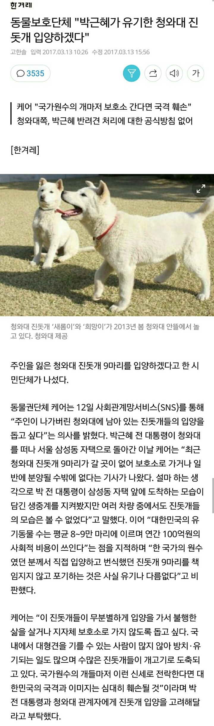 동물보호단체"박근혜가 유기한 청와대 진돗개 입양하겠다" | 인스티즈
