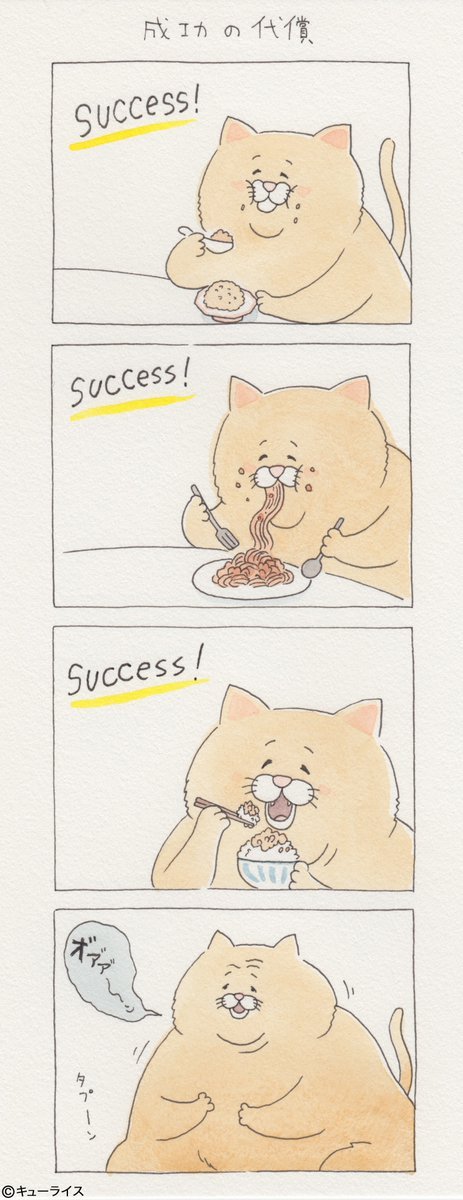 유감스러운 고양이 | 인스티즈