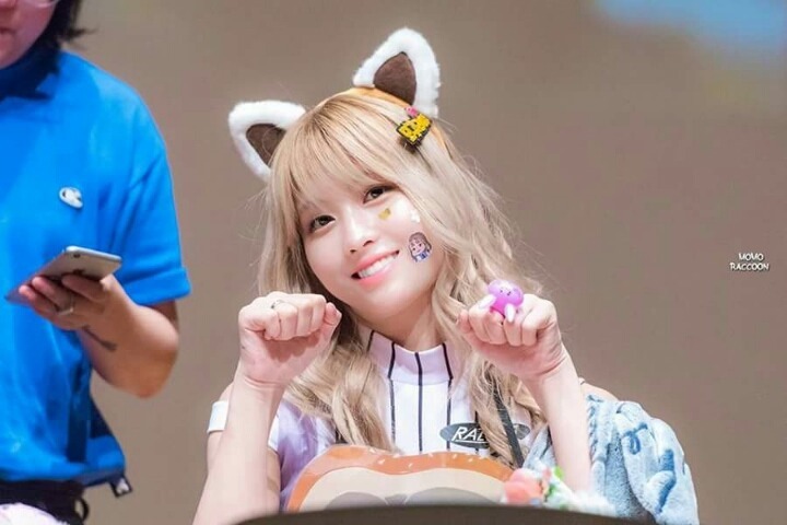 동물농장 트와이스 | 인스티즈