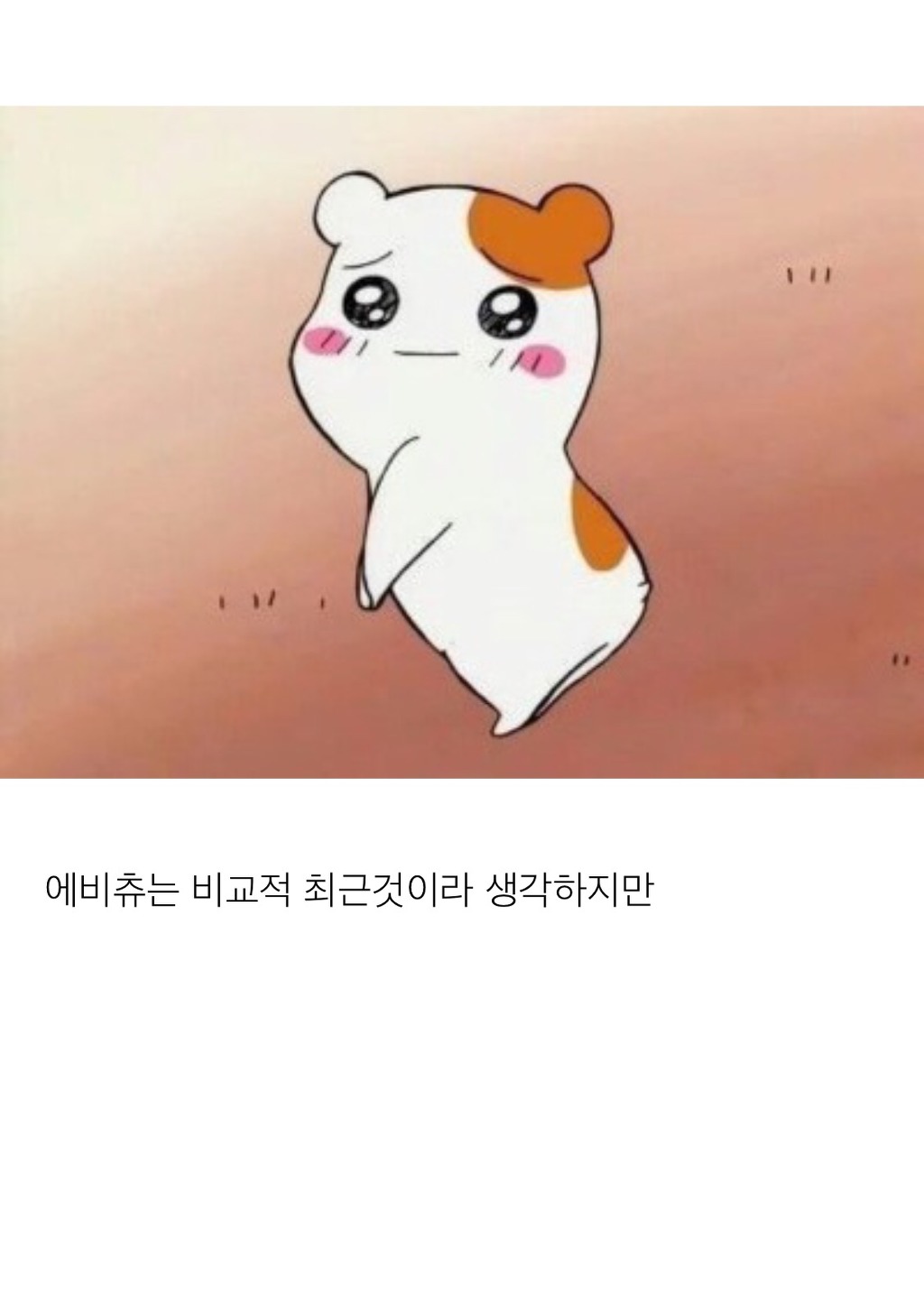 많은 사람들이 착각하고 있는 사실 | 인스티즈