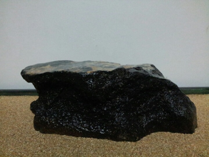 일경 이미지