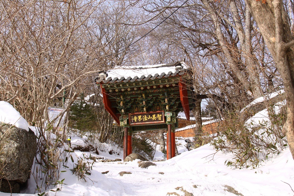 목화아씨 이미지