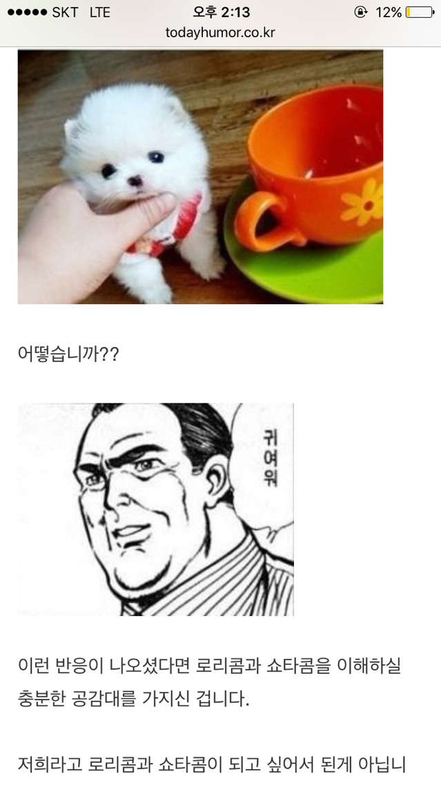 로리콤과 쇼타콤을 모르는 오윾인 | 인스티즈