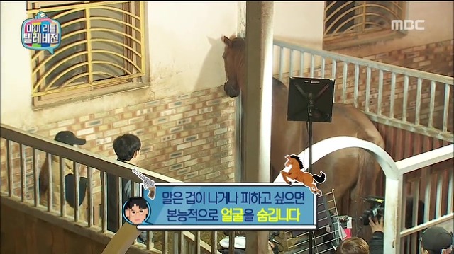 수줍어 하는게 귀여운 말 | 인스티즈