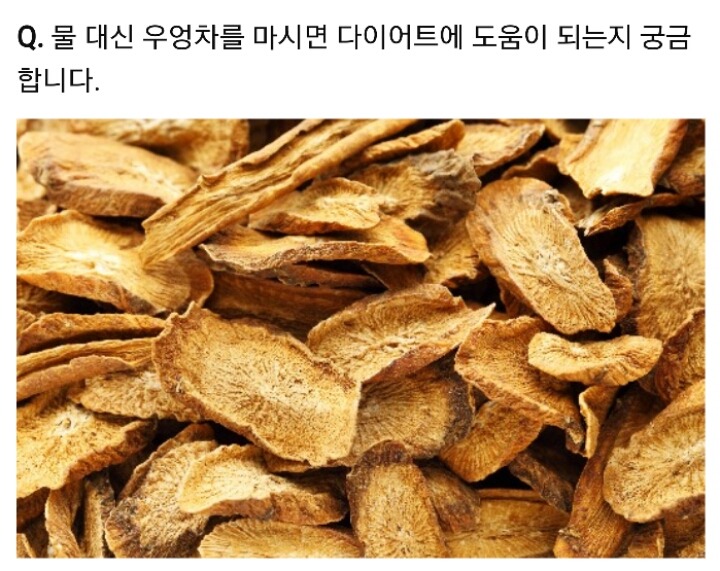 [1분Q&A] 물 대신 우엉차를 마시면 다이어트에 도움되나요? | 인스티즈