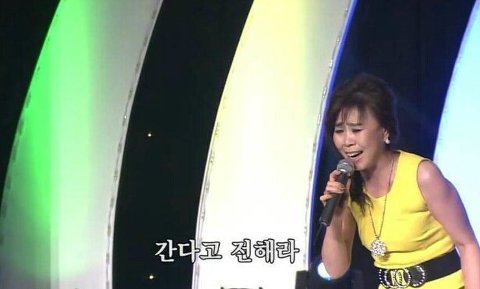 [고르기] 오갈데 없는 여시와 함께 있어줄 사람을 골라보자 | 인스티즈