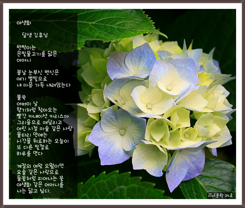 달샘 이미지