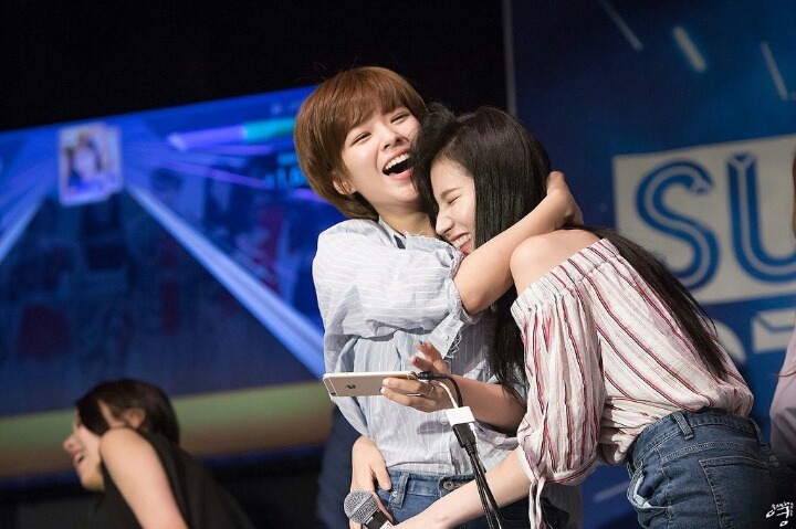 트와이스 애완 멤버.gif | 인스티즈