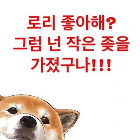 인스타그램의 계정ㅋㅋㅋㅋㅋ | 인스티즈