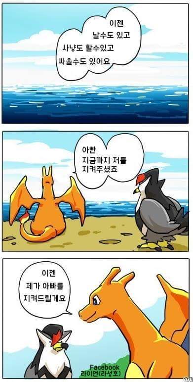 파이리 이야기 | 인스티즈