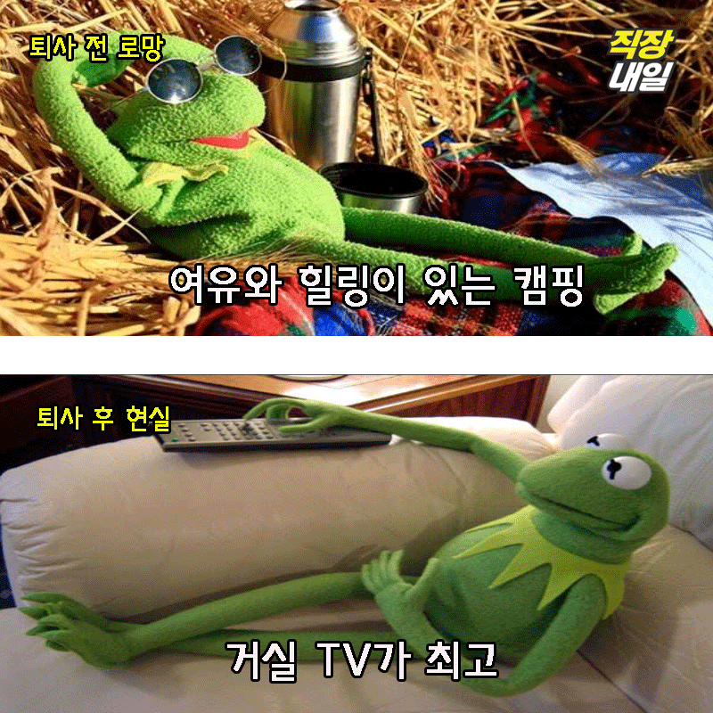 직장인 개구리가 퇴사를 해보았다(팩트폭행 주의) | 인스티즈