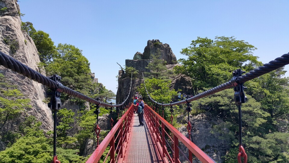 우보 이미지