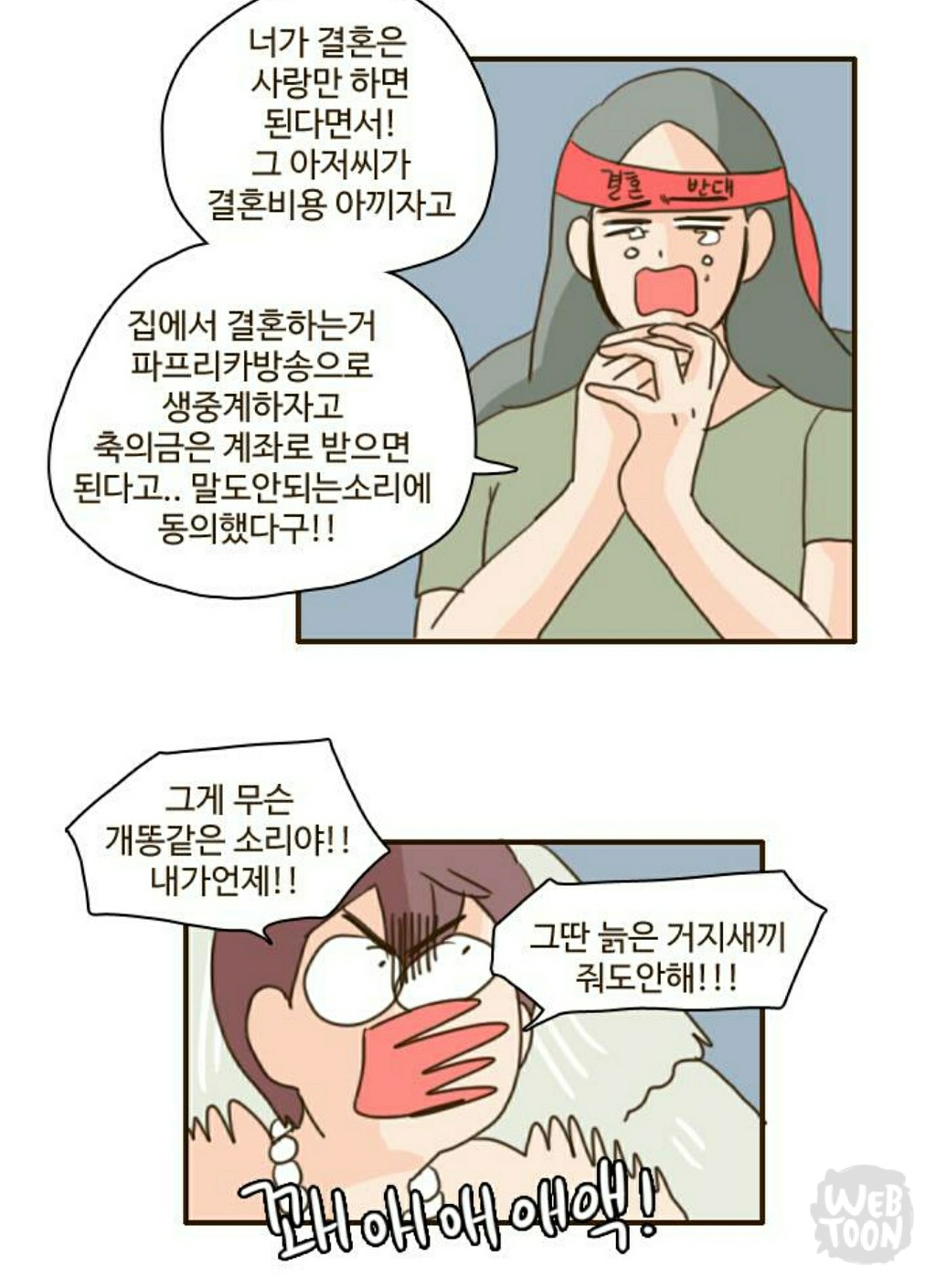 최근 화제가 된 스몰웨딩 가성비웨딩을 시원하게 비꼬는 오늘자 달수 이야기 | 인스티즈
