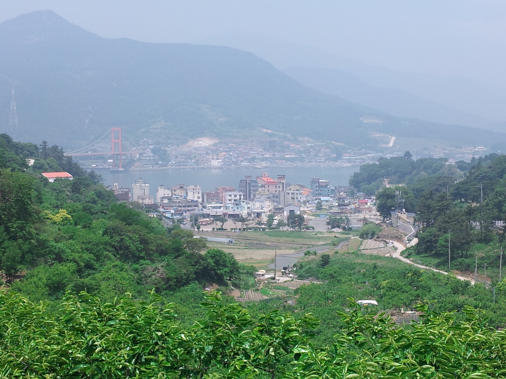 세라존 이미지