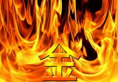 그루터기 이미지
