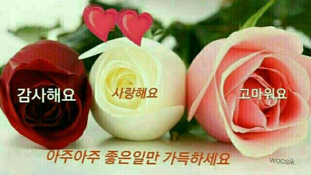고운님 이미지