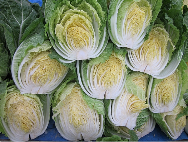 화산농원 이미지