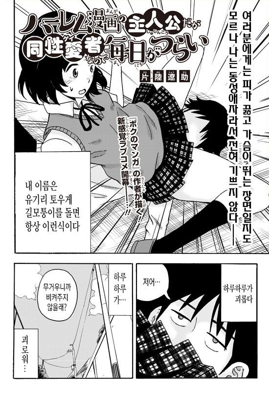 하렘주인공이지만 동성애자라서 괴로운 만화 | 인스티즈
