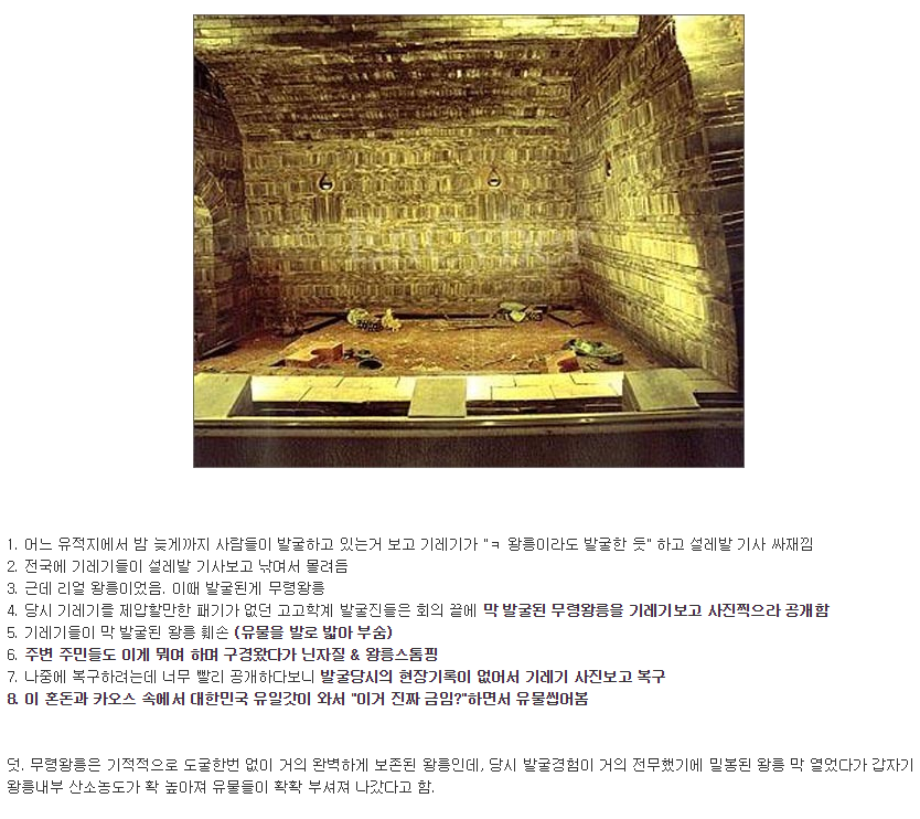 한국 고고학계의 전설 jpg | 인스티즈