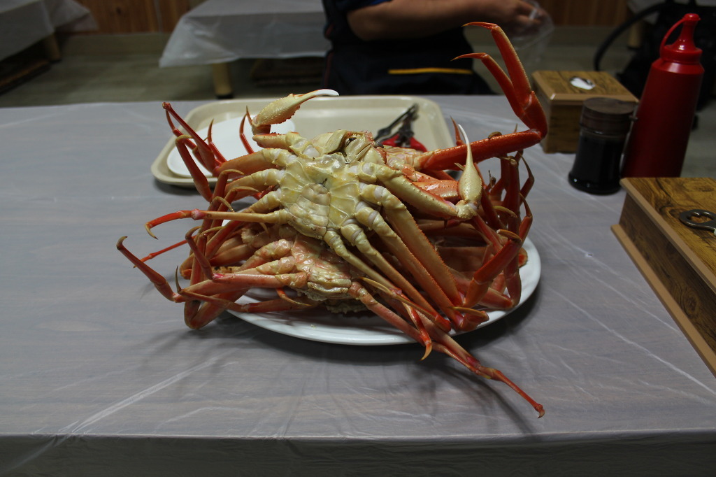 국산 대게.jpg | 인스티즈