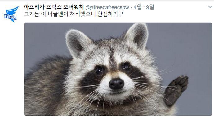 [오버워치] 살이 계속 찌는 선수들에게 극단적인 처방을 내린 게임단 | 인스티즈