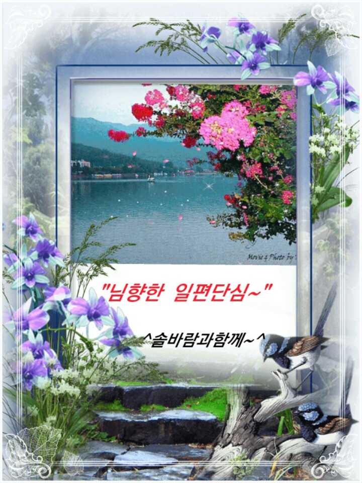 일편단심 이미지