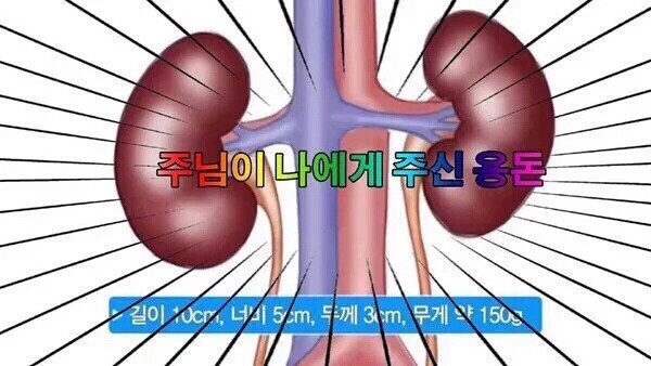 부모님이 카톡 프사 바꾸라고 권유하실 st 의 짤들.jpg | 인스티즈