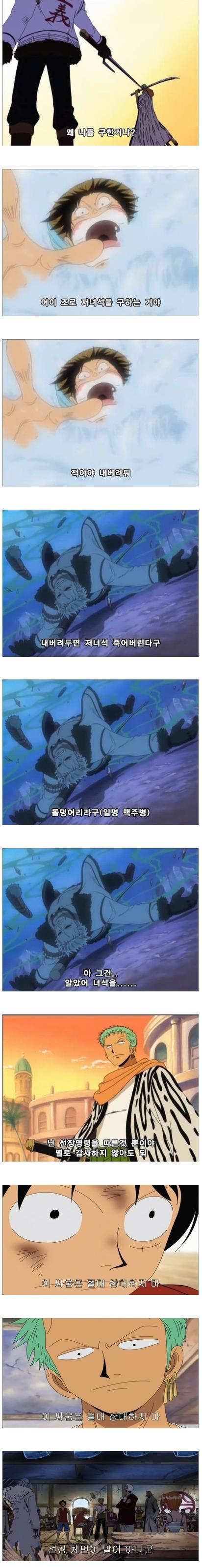 사실상 원피스 주인공.jpg | 인스티즈