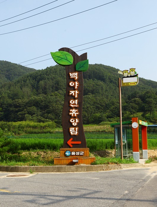 백야식당 이미지