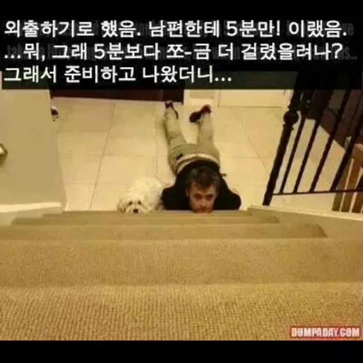 강아지들을 키우고 싶은 이유 | 인스티즈