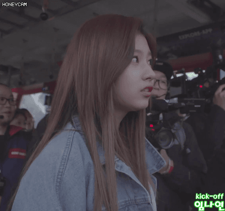 스위스에서 늑대찾는 사나 | 인스티즈