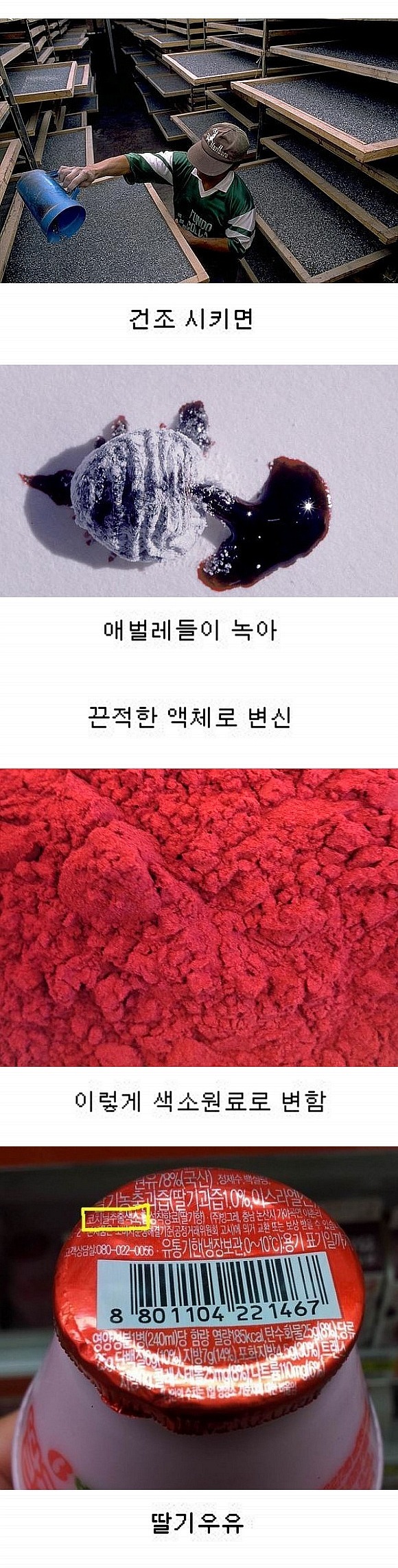 딸기우유의 색을 내는 색소(혐오주의) | 인스티즈