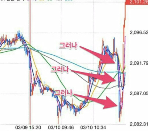 현시각 주알못들 근황 | 인스티즈