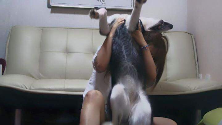 남사친이 모자샀다고 자랑하길래 | 인스티즈