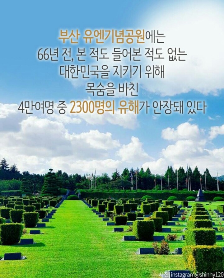 와리바시 이미지