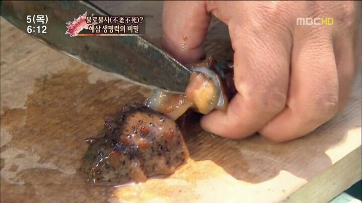 해삼의 미스테리.jpg | 인스티즈